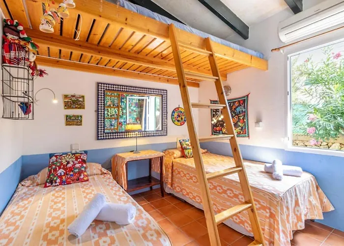 Araucaria * קאלאן בוש