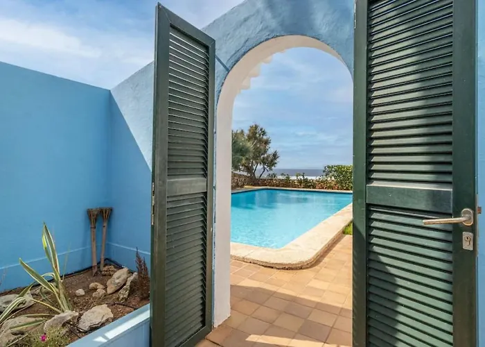 Araucaria קאלאן בוש